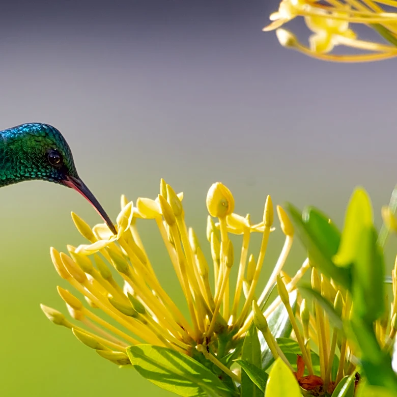 Turn Old Metal Garden Chairs Into The Cutest DIY Bird Baths That Double As Decor