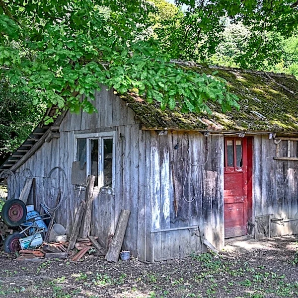 He Turns A Rotted Old Shed Into A Stylish Space That Elevates A Cottage Garden