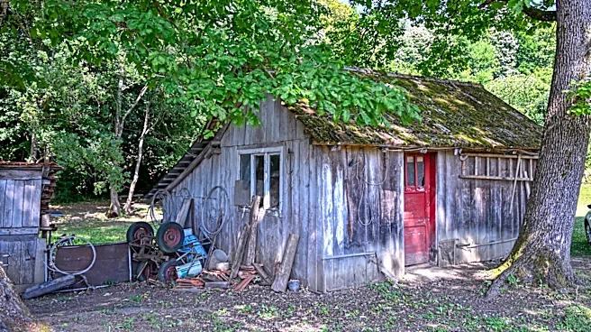 He Turns A Rotted Old Shed Into A Stylish Space That Elevates A Cottage Garden