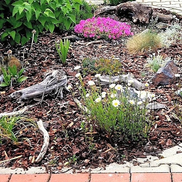 Give Mulched Garden Bed Edging A Rustic Touch With A DIY That Uses River Rocks