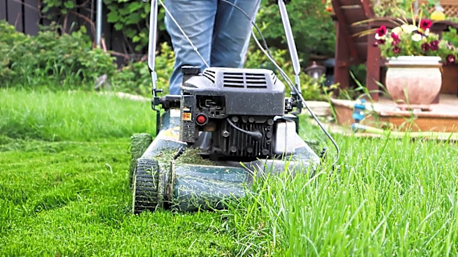 Sharpen Your Lawn Mower Blades With A Versatile Handheld Solution From Amazon
