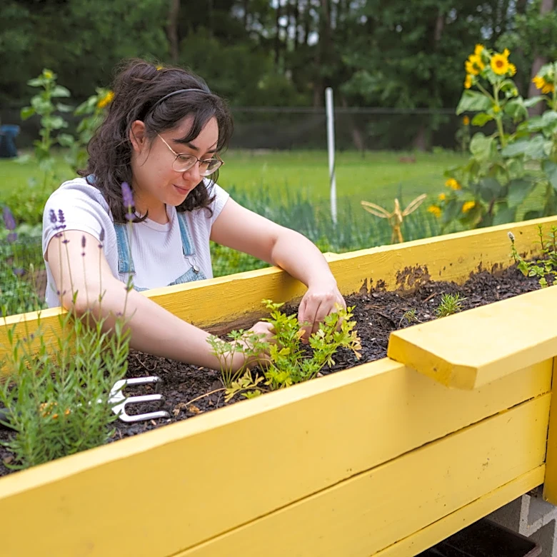 Is Painted Wood Safe For Garden Beds?