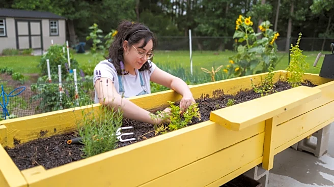 Is Painted Wood Safe For Garden Beds?
