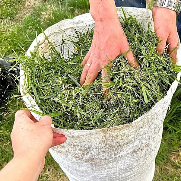 Is It Safe To Use Grass Clippings From Treated Lawns In Garden Beds?