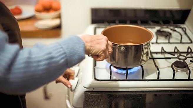 What To Do If Your Gas Stove Flame Goes Out Unexpectedly