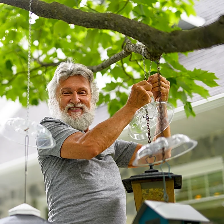 Upcycle An Old Pot Lid For A Smart Way To Keep Backyard Birds Happy In The Rain