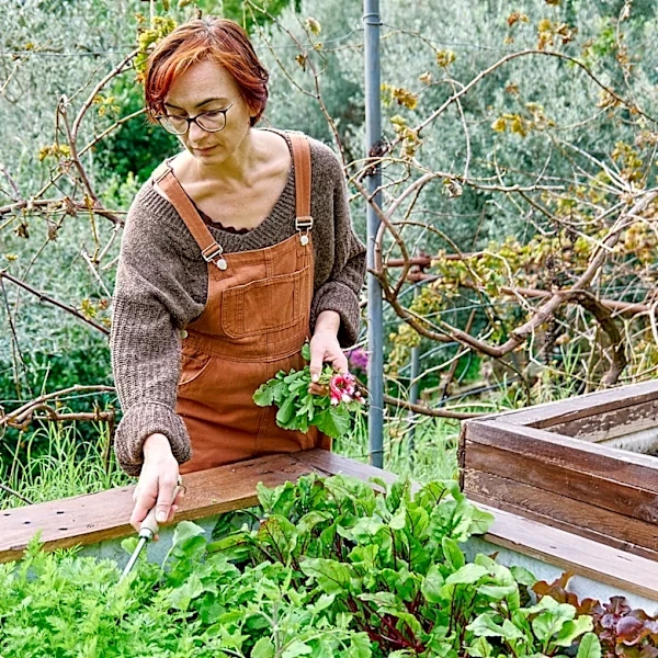 Say Goodbye To Buckets And Baskets With This Harvest-Helping Amazon Find