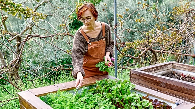 Say Goodbye To Buckets And Baskets With This Harvest-Helping Amazon Find