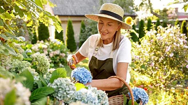 Forget Hydrangeas: The Beautiful Shrub That's Filled With Fragrant White Flowers