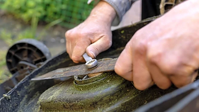Easier Than A Block Of Wood: The Amazon Tool For Removing Lawn Mower Blades