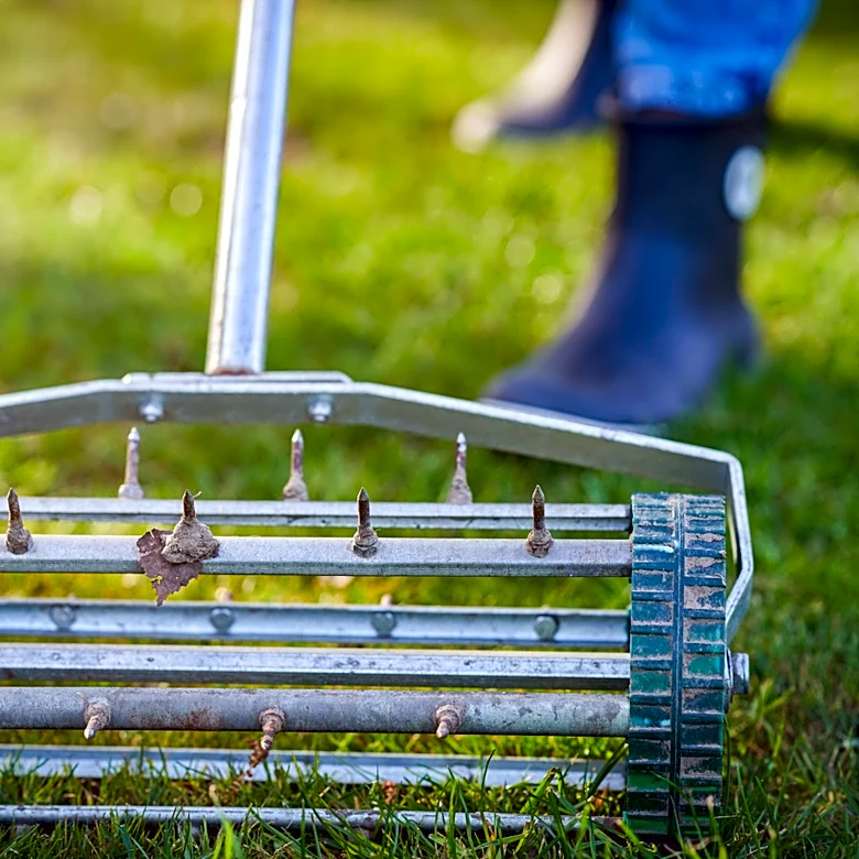 Don't Break Your Budget: 4 Lawn Aerators You Can Snag From Amazon Under $50