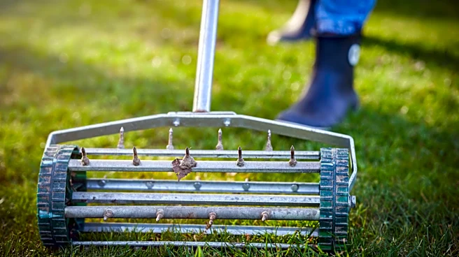 Don't Break Your Budget: 4 Lawn Aerators You Can Snag From Amazon Under $50