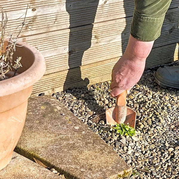 No More Digging Or Pulling: The Compact Harbor Freight Find For Removing Weeds From Gravel