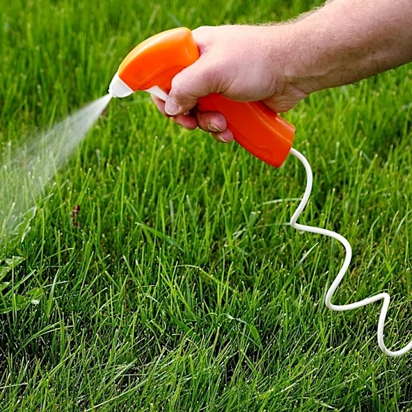 Should You Be Pulling Dead Weeds After Spraying?