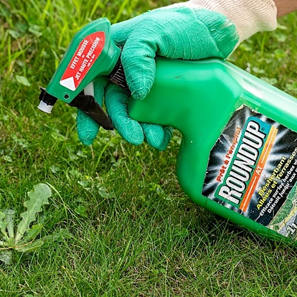 Removing Weeds? Here's When Not To Spray Roundup In Your Yard