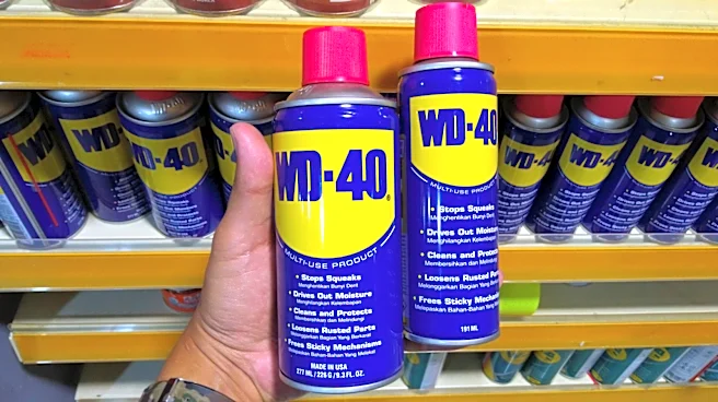 9 Brands Owned By The Company Behind WD-40