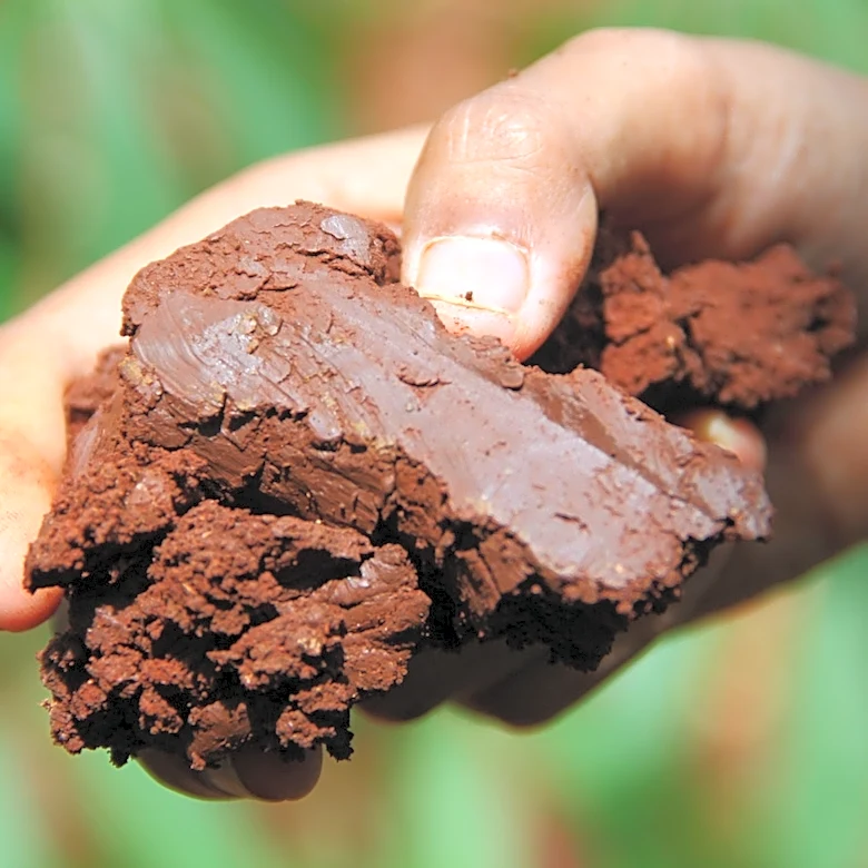The Addition To Steer Clear Of When Amending Clay Soil For Gardening