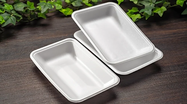 Use A Styrofoam Tray To Make Adorable Earring Storage With A Savvy DIY