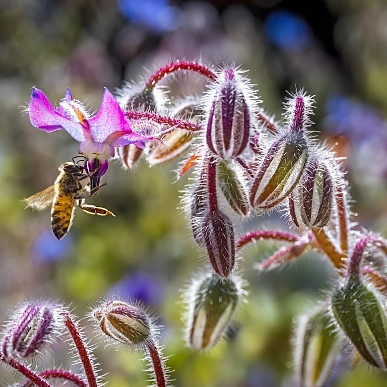 Give Bees A Place To Live With The Cutest Find From Amazon