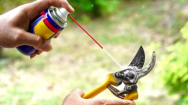 Forget Rust Remover Sprays: Destroy Garden Tool Rust With An Alternative From Amazon