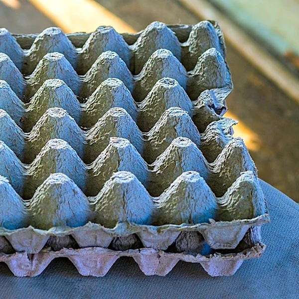 Turn An Old Egg Carton Into Retro Hanging Wall Décor With A DIY