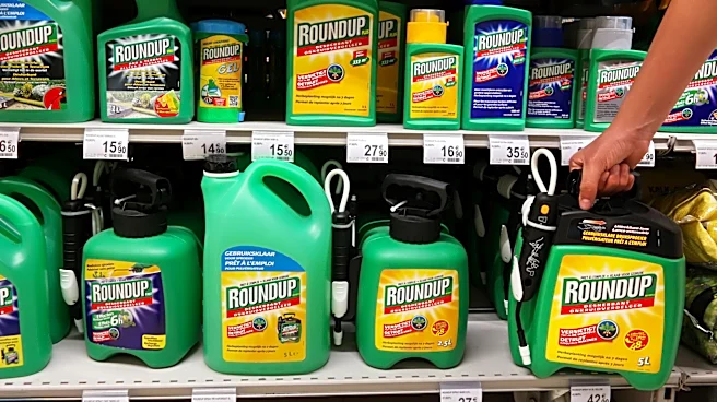 Contact Vs Systemic Herbicide: Which Is Better For Stopping Weed Growth?
