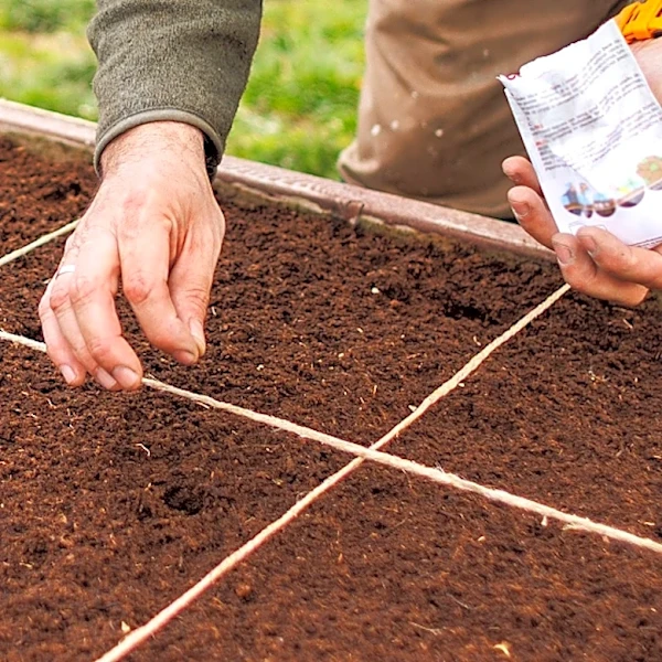 Evenly Space Out Your Garden Rows With A Compact And Portable Amazon Find