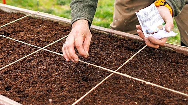 Evenly Space Out Your Garden Rows With A Compact And Portable Amazon Find