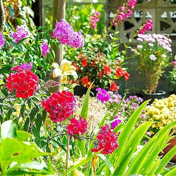 The Old-Fashioned, Forgotten Shrub That Fills Your Garden With Color All Season