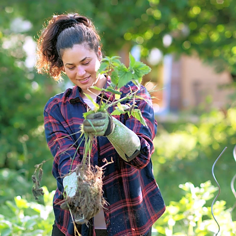 Easier Than Hand Pulling: Remove Weeds Standing Up With This Amazon Find