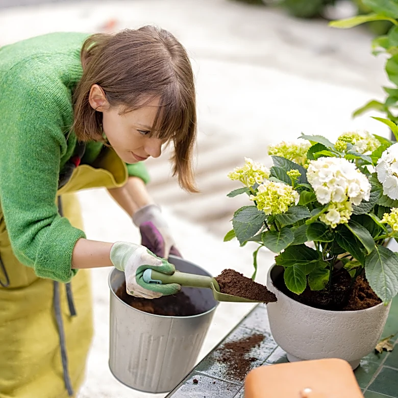 The Hydrangea Companion Plant That Makes Their Blooms Pop