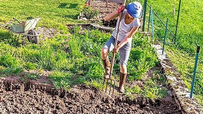 Forget Basic Garden Forks: The Heavy-Duty Alternative Makes Breaking Up Soil Easier