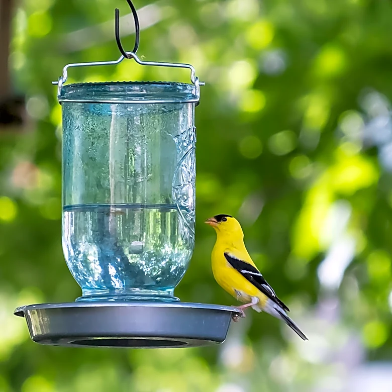 Turn Old Glass Jars Into Rustic Bird Feeders With A DIY Kit From Amazon