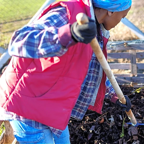 Not Just Egg Cartons: The Other Food Storage Finds You Can Add To Your Compost
