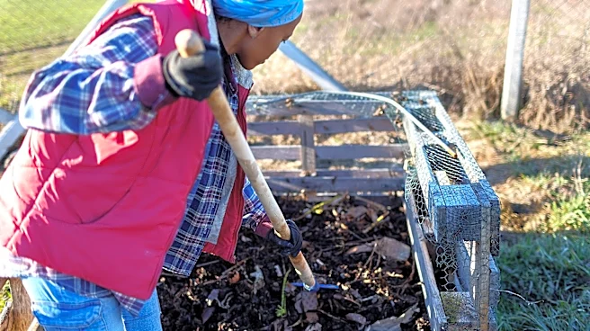Not Just Egg Cartons: The Other Food Storage Finds You Can Add To Your Compost
