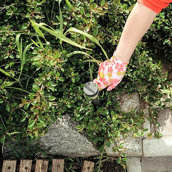 Easier Than Hand Pulling: The Lightweight Amazon Tool For Removing Weeds