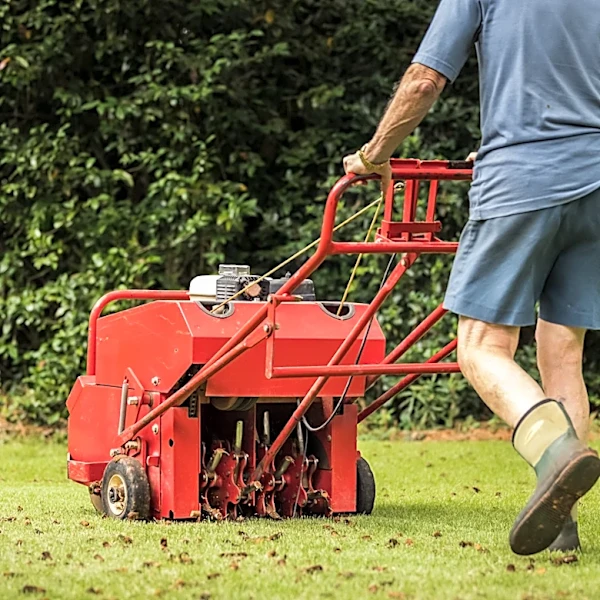 Do You Need To Fill Holes After Using Lawn Aerators?