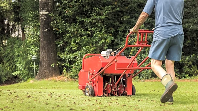 Do You Need To Fill Holes After Using Lawn Aerators?