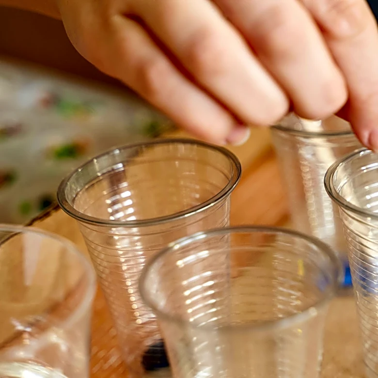 Transform Old Plastic Cups To DIY The Cutest, Plant-Inspired Suncatcher