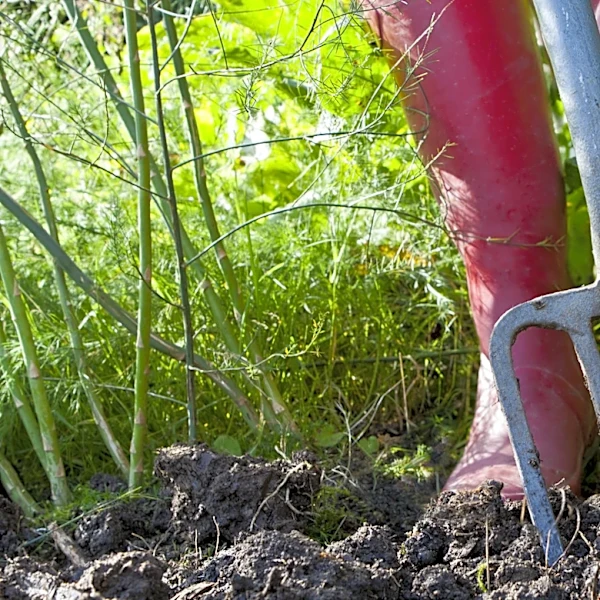 Forget Tiresome Digging: Easily Remove Weeds With A Powerful Hand Tool From Amazon
