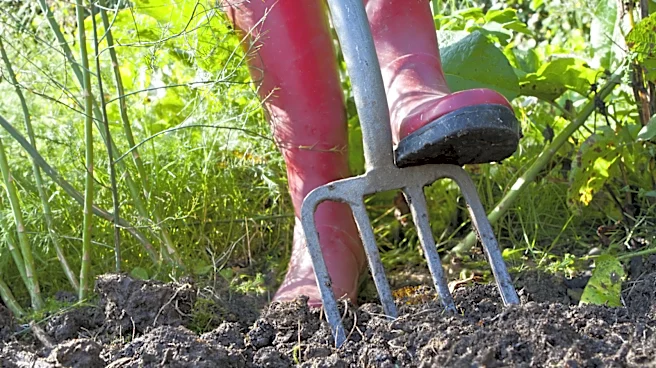 Forget Tiresome Digging: Easily Remove Weeds With A Powerful Hand Tool From Amazon