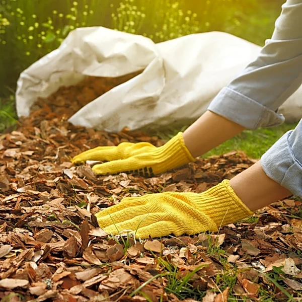 The Mulch Mistake That's Preventing Your Landscaping From Being Weed Free