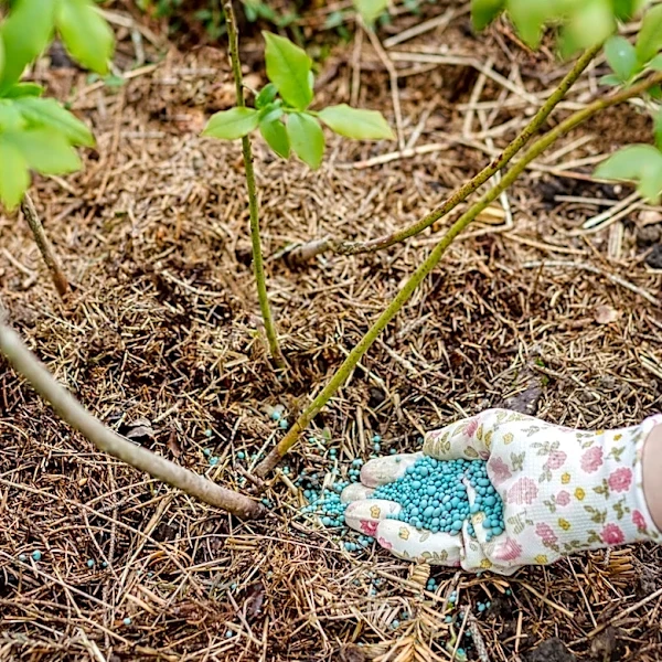 The Difference Between Compost And Fertilizer (And Why You Need Both)