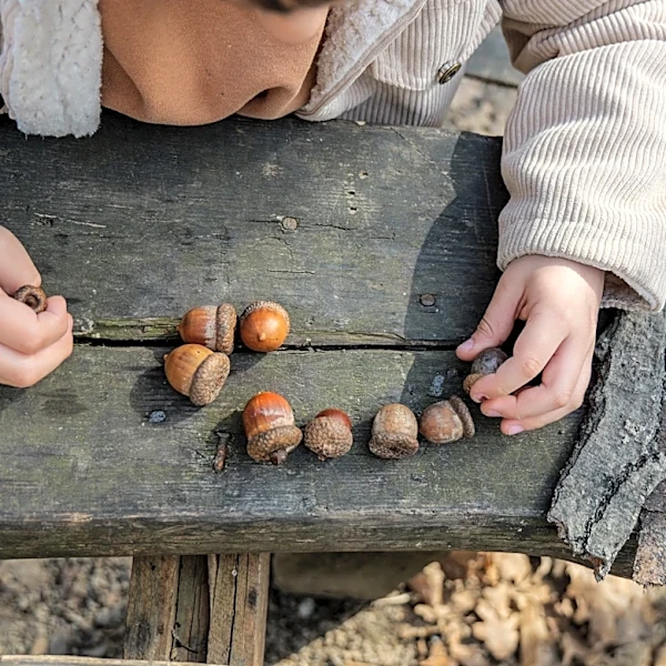 Use An Egg Carton To Transform Acorn Caps & Beeswax Into The Cutest Floating Candles