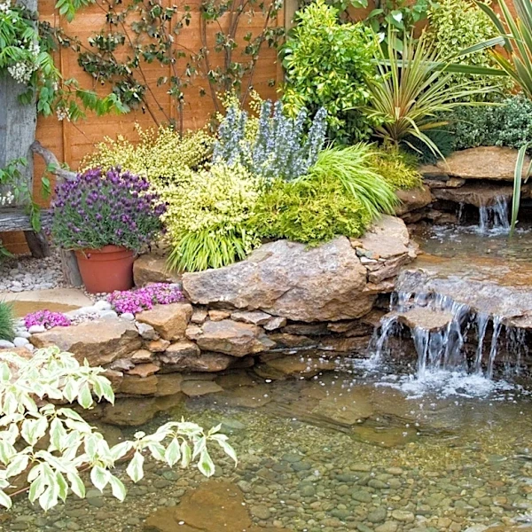 The Fall Plant With White Flowers That Adds Beauty To Your Ponds