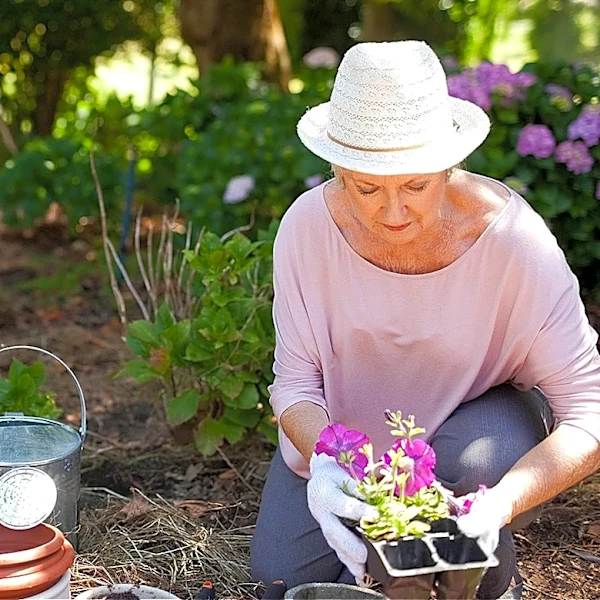 Not Hostas, Not Coral Bells: The Perennial Berry That's Great For Your Shaded Garden