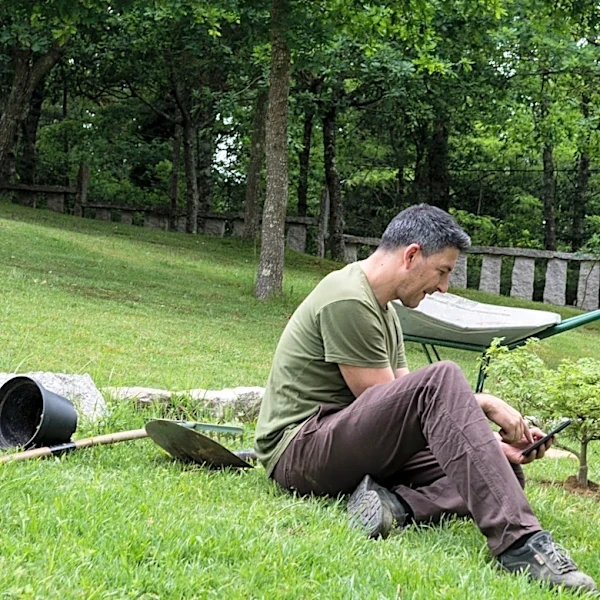 Ditch Retaining Walls And Meet The Living Solution For A Sloped Yard