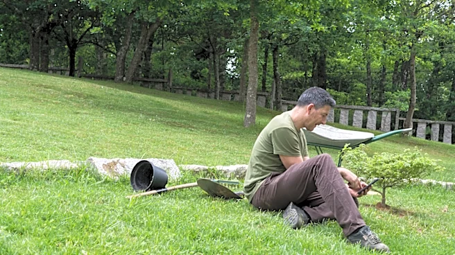 Ditch Retaining Walls And Meet The Living Solution For A Sloped Yard