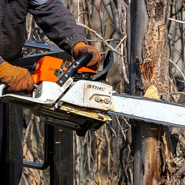 Why Doesn't Home Depot Sell STIHL Tools?