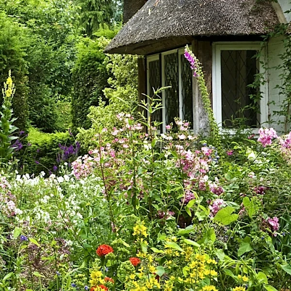 13 Long-Lasting Fall Flowers That Bloom Until First Frost
